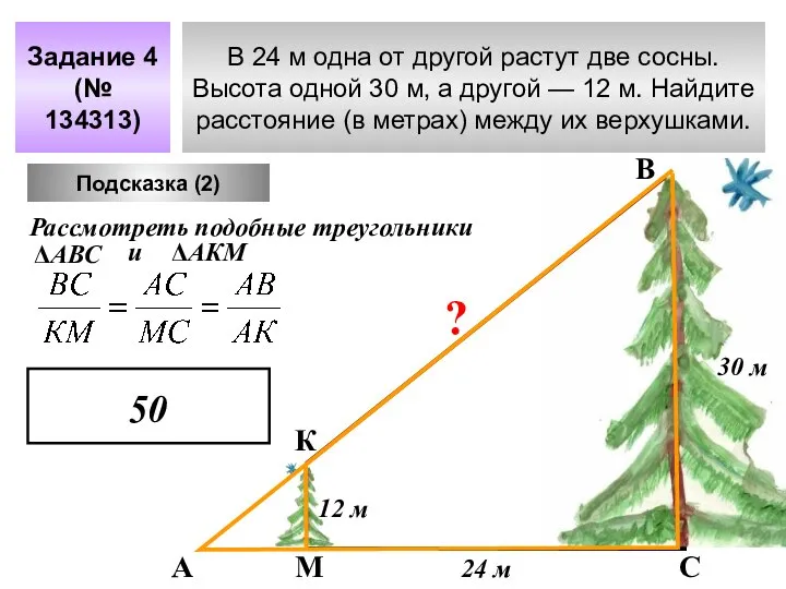 В 24 м одна от другой растут две сосны. Высота одной