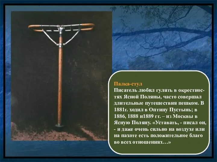 Палка-стул Писатель любил гулять в окрестнос-тях Ясной Поляны, часто совершал длительные