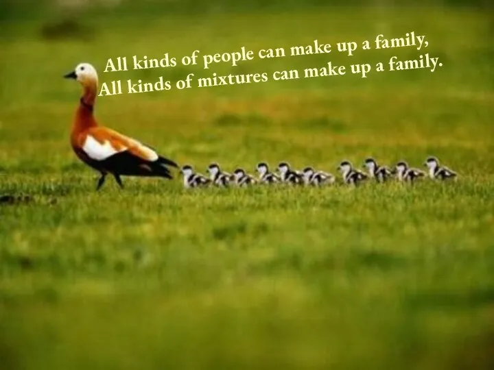 All kinds of people can make up a family, All kinds