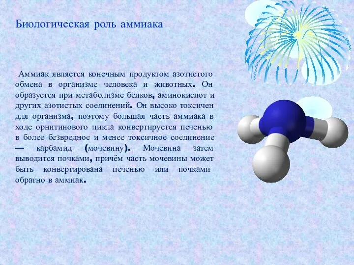 Аммиак является конечным продуктом азотистого обмена в организме человека и животных.