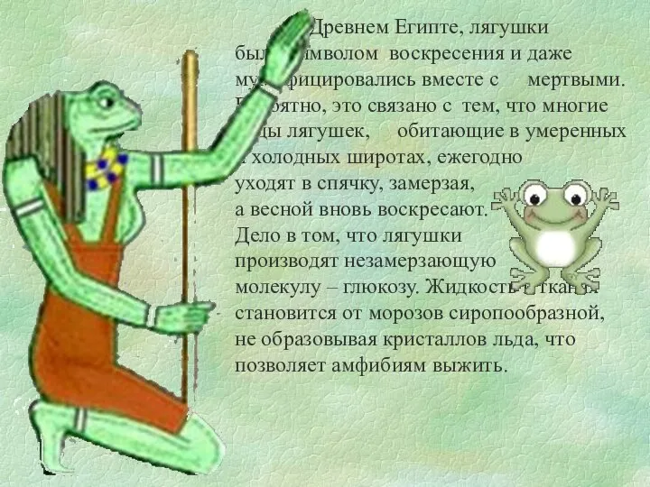 В Древнем Египте, лягушки были символом воскресения и даже мумифицировались вместе