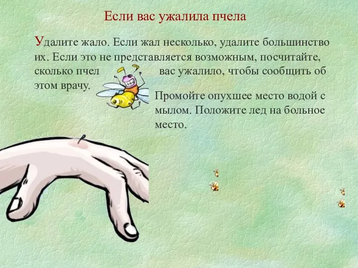 Если вас ужалила пчела Удалите жало. Если жал несколько, удалите большинство