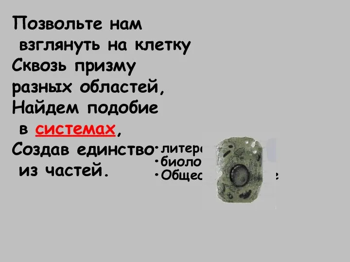 Позвольте нам взглянуть на клетку Сквозь призму разных областей, Найдем подобие