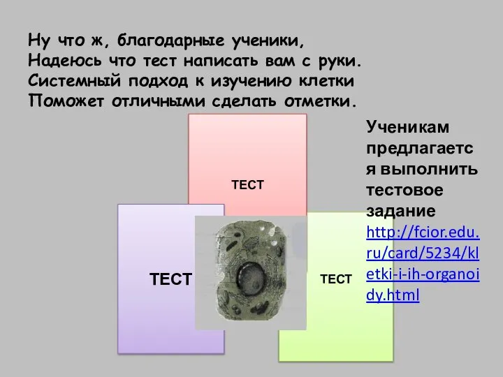 Ну что ж, благодарные ученики, Надеюсь что тест написать вам с