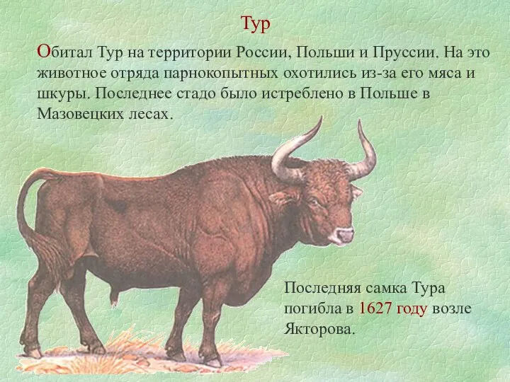 Тур Обитал Тур на территории России, Польши и Пруссии. На это