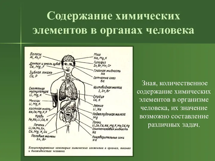 Содержание химических элементов в органах человека Зная, количественное содержание химических элементов