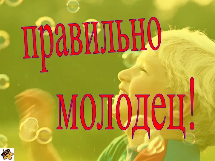 правильно молодец!