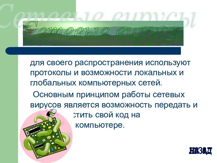 для своего распространения используют протоколы и возможности локальных и глобальных компьютерных