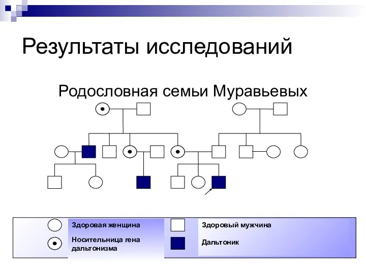 Результаты исследований Родословная семьи Муравьевых