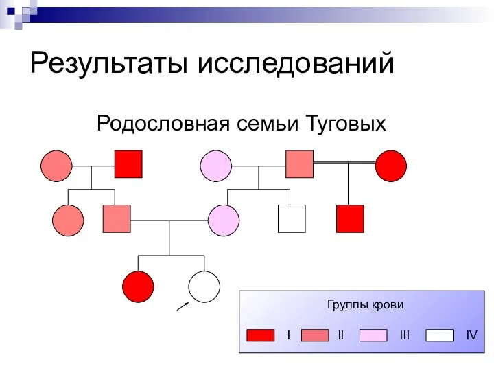 Результаты исследований Родословная семьи Туговых Группы крови I II III IV