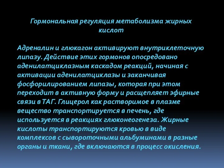 Гормональная регуляция метаболизма жирных кислот Адреналин и глюкагон активируют внутриклеточную липазу.