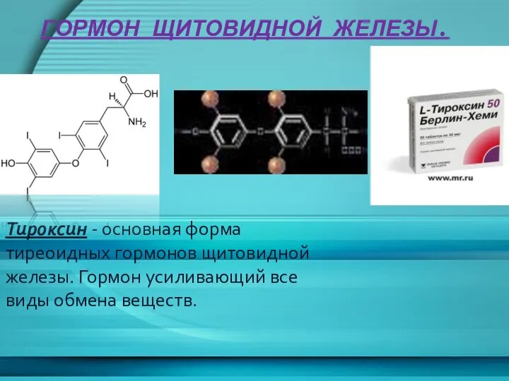 Гормон щитовидной железы. Тироксин - основная форма тиреоидных гормонов щитовидной железы.