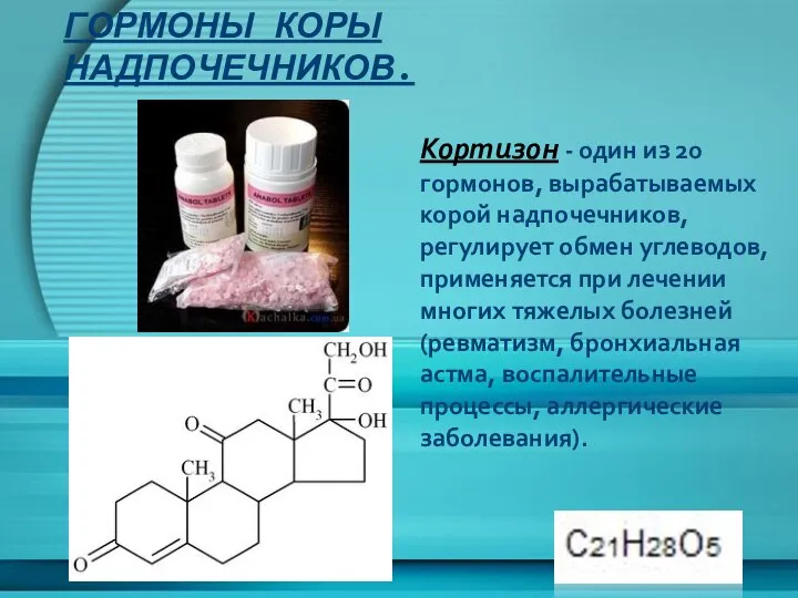 Гормоны коры надпочечников. Кортизон - один из 20 гормонов, вырабатываемых корой