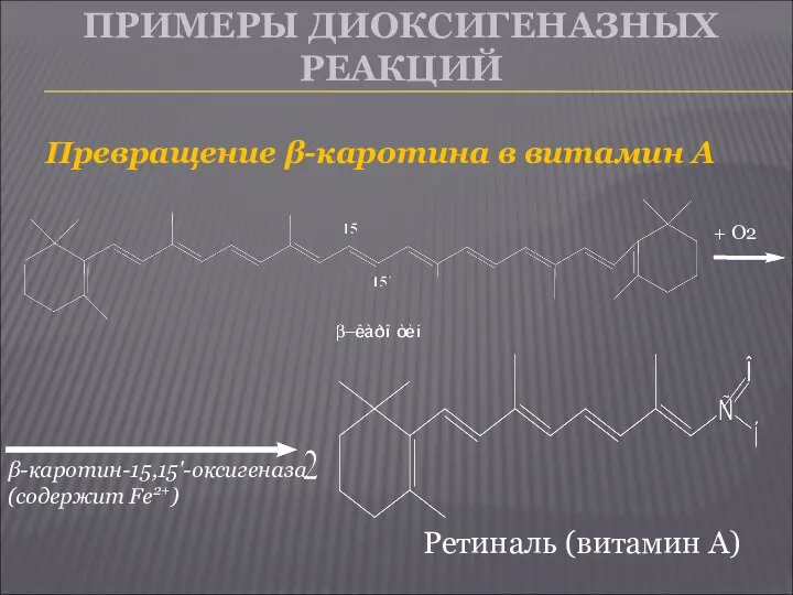 ПРИМЕРЫ ДИОКСИГЕНАЗНЫХ РЕАКЦИЙ Превращение β-каротина в витамин А + О2 β-каротин-15,15'-оксигеназа (содержит Fe2+) Ретиналь (витамин А)