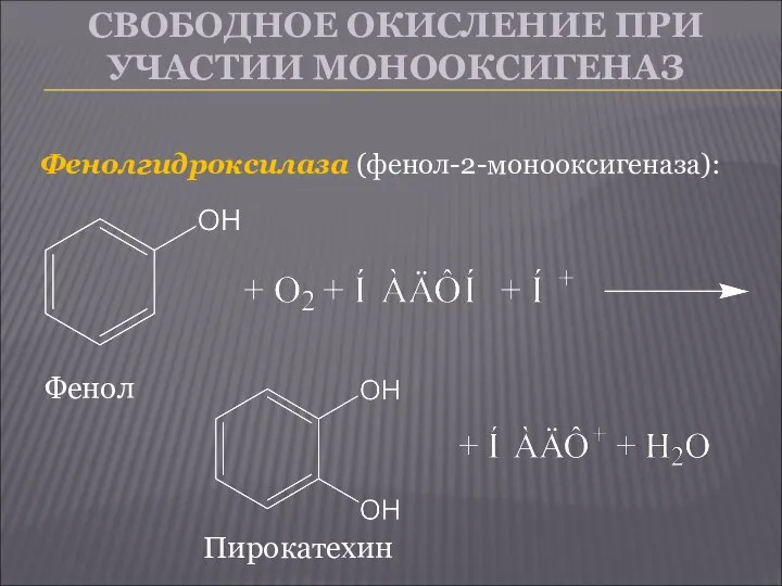 СВОБОДНОЕ ОКИСЛЕНИЕ ПРИ УЧАСТИИ МОНООКСИГЕНАЗ Фенолгидроксилаза (фенол-2-монооксигеназа): Фенол Пирокатехин