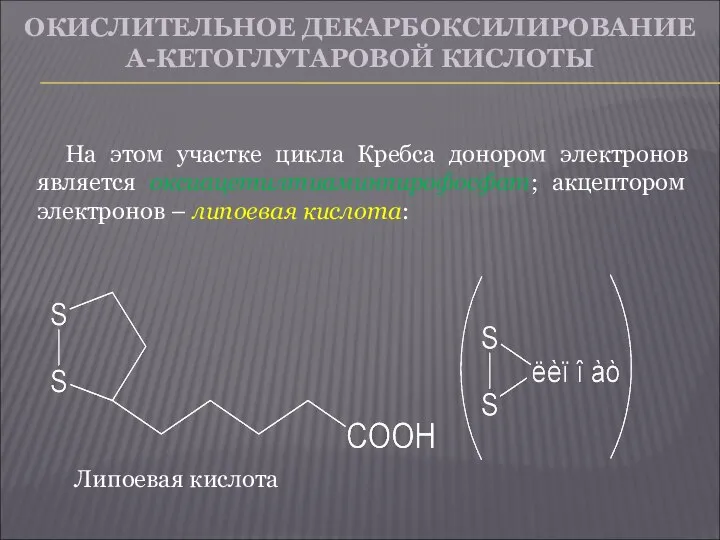 ОКИСЛИТЕЛЬНОЕ ДЕКАРБОКСИЛИРОВАНИЕ Α-КЕТОГЛУТАРОВОЙ КИСЛОТЫ На этом участке цикла Кребса донором электронов