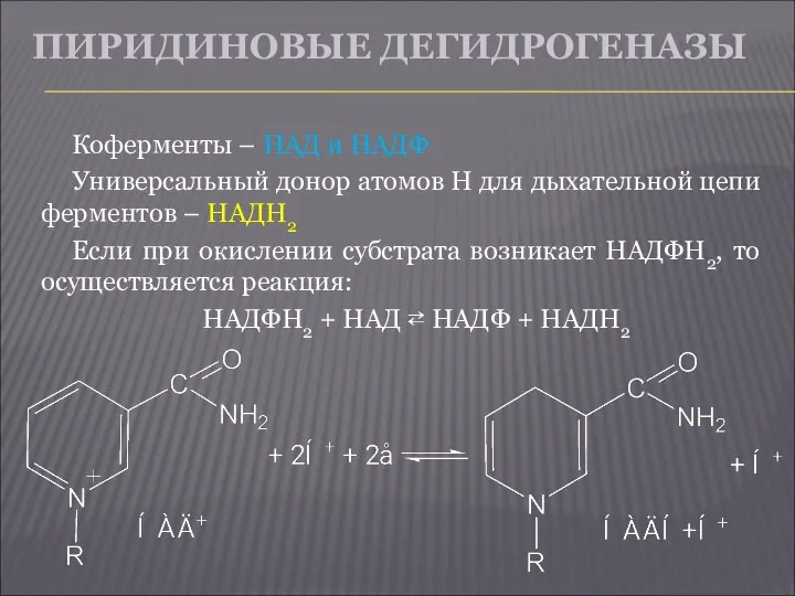 ПИРИДИНОВЫЕ ДЕГИДРОГЕНАЗЫ Коферменты – НАД и НАДФ Универсальный донор атомов Н