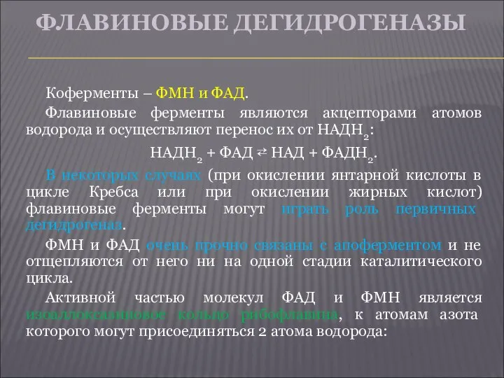 ФЛАВИНОВЫЕ ДЕГИДРОГЕНАЗЫ Коферменты – ФМН и ФАД. Флавиновые ферменты являются акцепторами