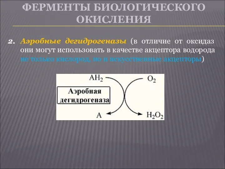 ФЕРМЕНТЫ БИОЛОГИЧЕСКОГО ОКИСЛЕНИЯ Аэробные дегидрогеназы (в отличие от оксидаз они могут