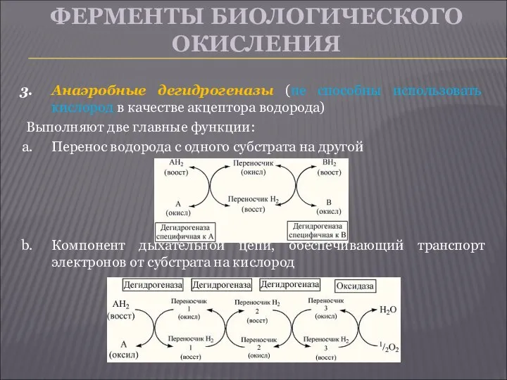 ФЕРМЕНТЫ БИОЛОГИЧЕСКОГО ОКИСЛЕНИЯ Анаэробные дегидрогеназы (не способны использовать кислород в качестве