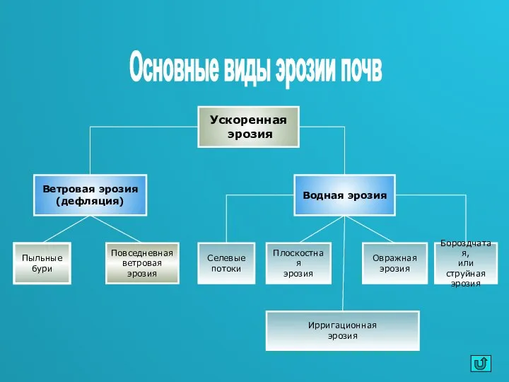 Основные виды эрозии почв Ускоренная эрозия Водная эрозия Ветровая эрозия (дефляция)