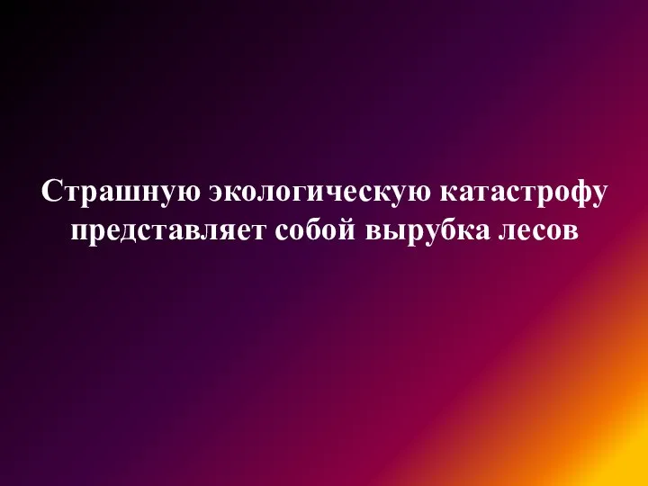 Страшную экологическую катастрофу представляет собой вырубка лесов