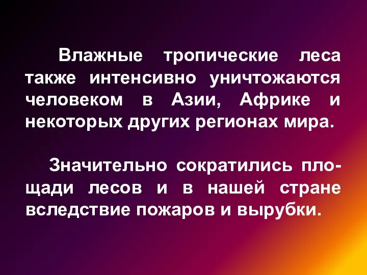 Влажные тропические леса также интенсивно уничтожаются человеком в Азии, Африке и