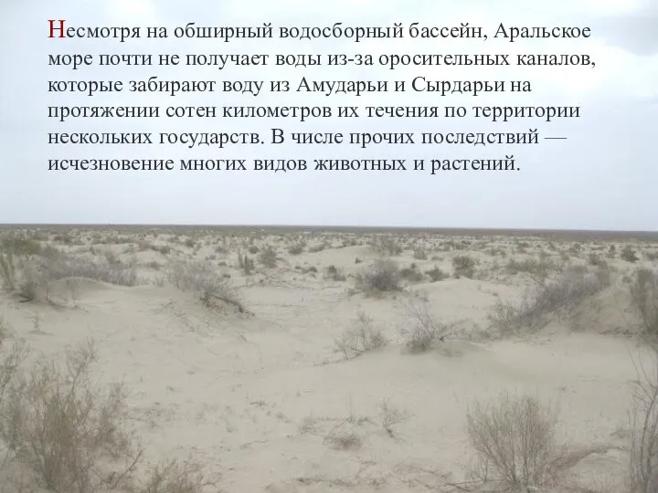 Несмотря на обширный водосборный бассейн, Аральское море почти не получает воды