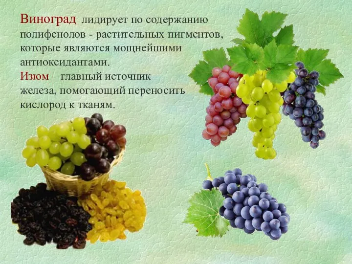 Виноград лидирует по содержанию полифенолов - растительных пигментов, которые являются мощнейшими