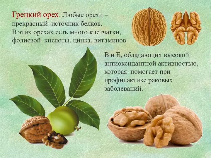 Грецкий орех. Любые орехи – прекрасный источник белков. В этих орехах