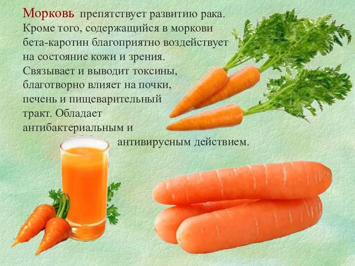 Морковь препятствует развитию рака. Кроме того, содержащийся в моркови бета-каротин благоприятно