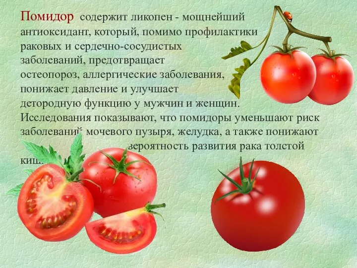 Помидор содержит ликопен - мощнейший антиоксидант, который, помимо профилактики раковых и