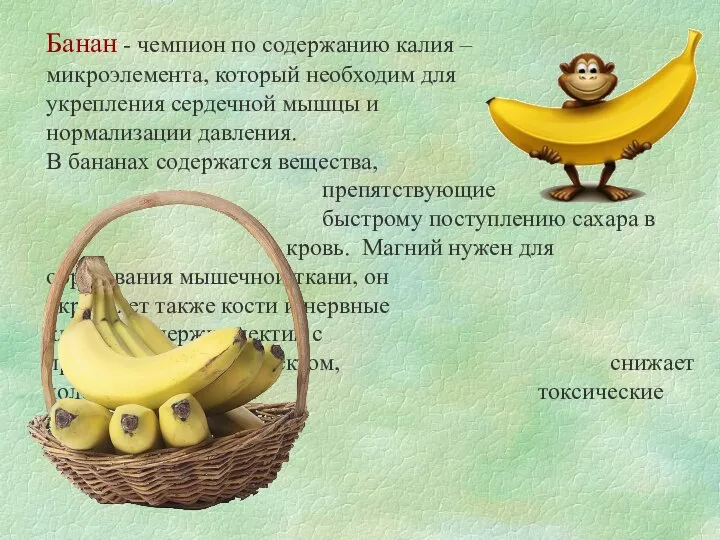 Банан - чемпион по содержанию калия – микроэлемента, который необходим для