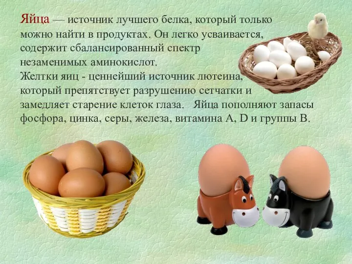 Яйца — источник лучшего белка, который только можно найти в продуктах.