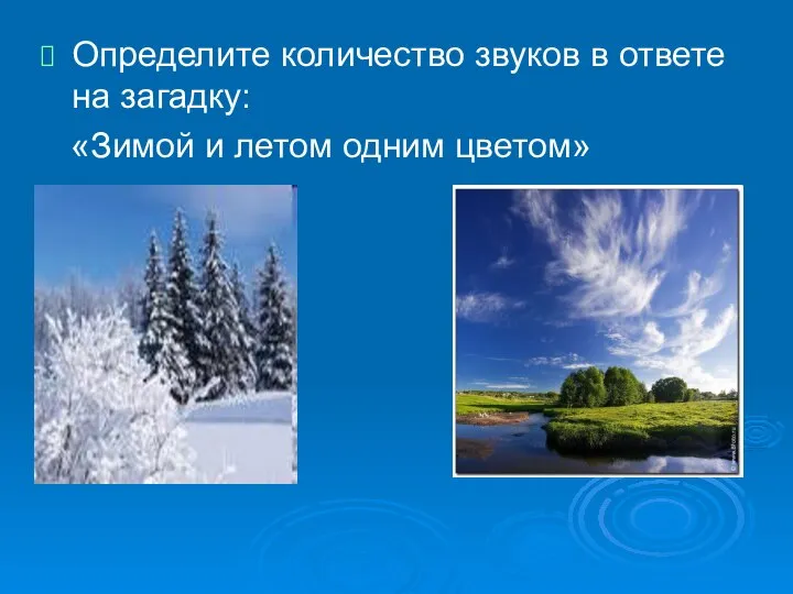 Определите количество звуков в ответе на загадку: «Зимой и летом одним цветом»