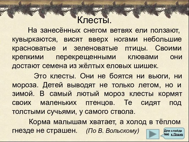 Клесты. На занесённых снегом ветвях ели ползают, кувыркаются, висят вверх ногами