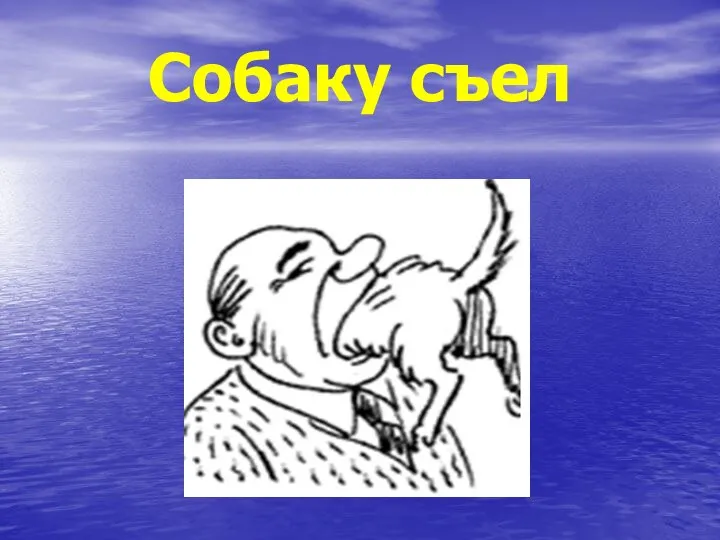 Собаку съел