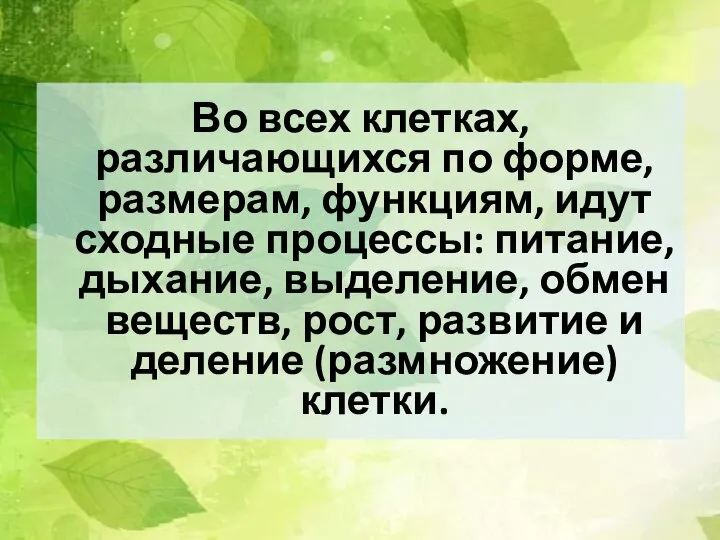 Во всех клетках, различающихся по форме, размерам, функциям, идут сходные процессы: