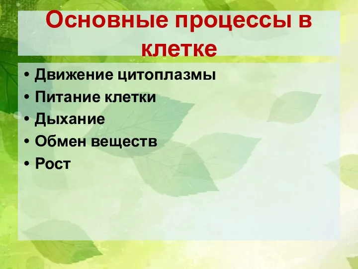 Основные процессы в клетке Движение цитоплазмы Питание клетки Дыхание Обмен веществ Рост