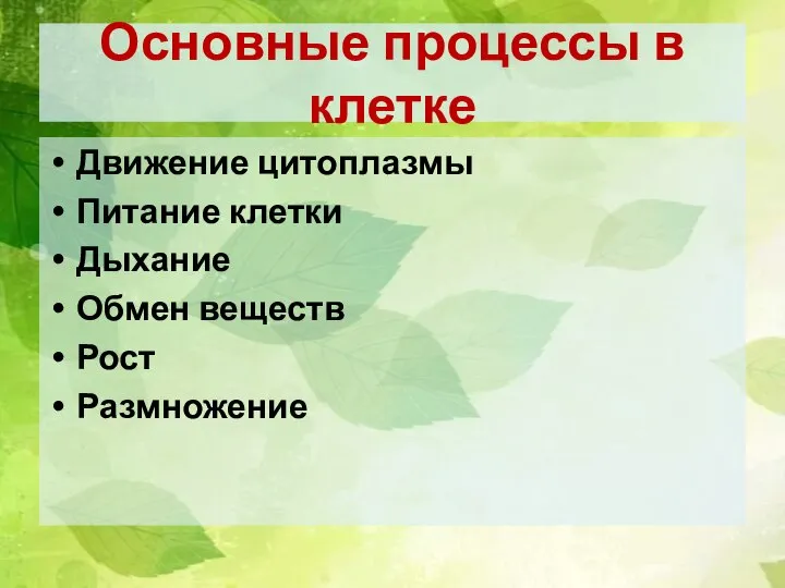 Основные процессы в клетке Движение цитоплазмы Питание клетки Дыхание Обмен веществ Рост Размножение