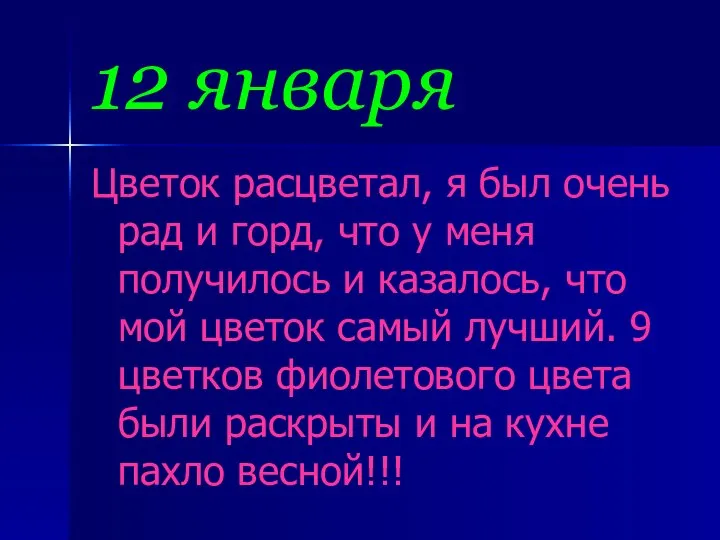 12 января Цветок расцветал, я был очень рад и горд, что