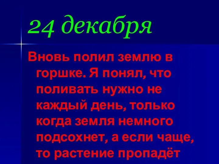 24 декабря Вновь полил землю в горшке. Я понял, что поливать