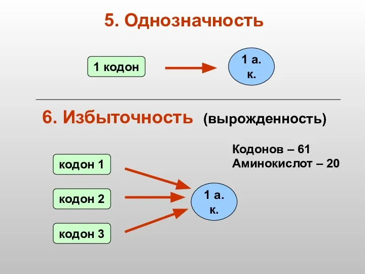 Кодонов – 61 Аминокислот – 20 5. Однозначность 6. Избыточность (вырожденность)