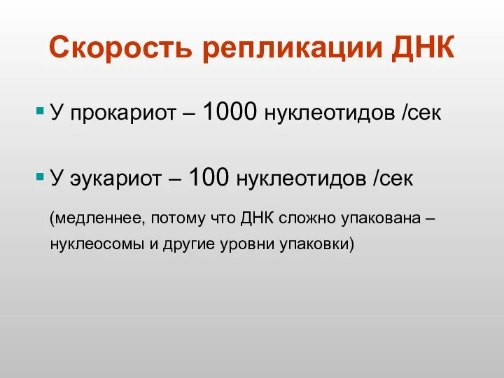 Скорость репликации ДНК У прокариот – 1000 нуклеотидов /сек У эукариот