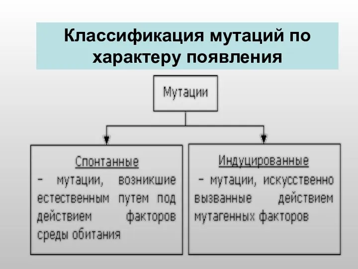 4. Генные мутации Классификация мутаций по характеру появления