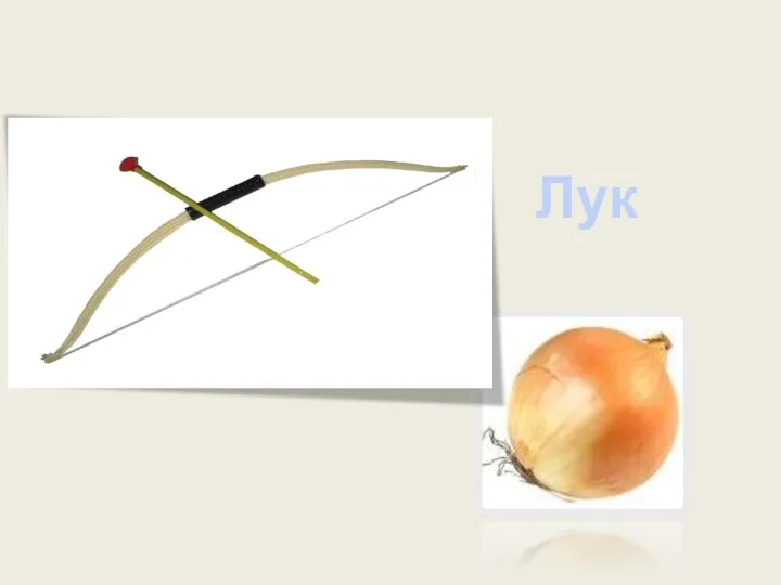 Лук