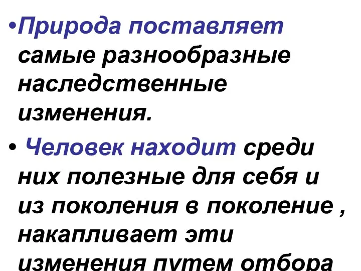 Природа поставляет самые разнообразные наследственные изменения. Человек находит среди них полезные