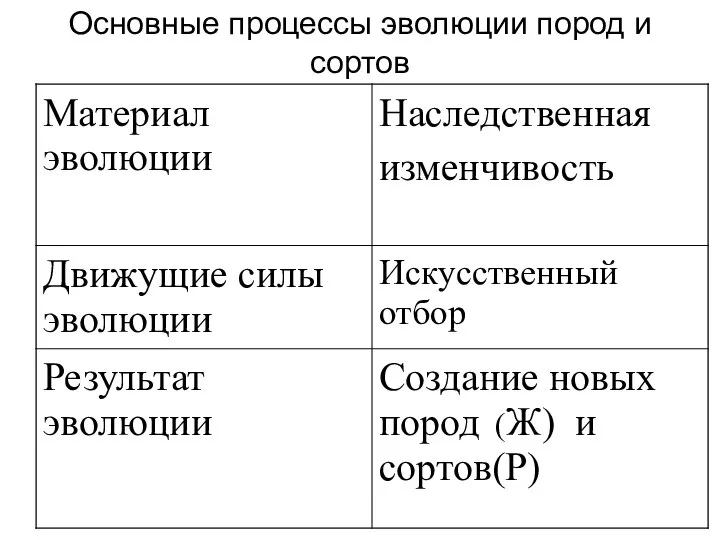 Основные процессы эволюции пород и сортов