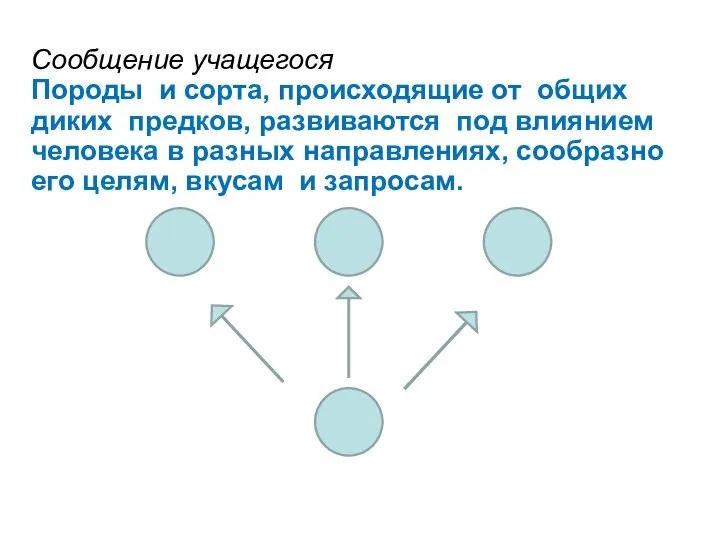 Сообщение учащегося Породы и сорта, происходящие от общих диких предков, развиваются