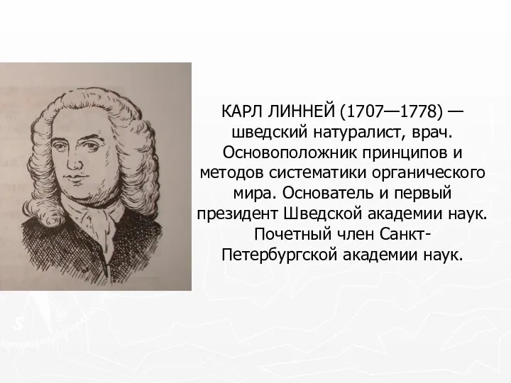 КАРЛ ЛИННЕЙ (1707—1778) — шведский натуралист, врач. Основоположник принципов и методов